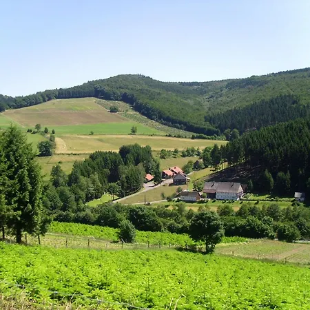 Geraeumiges Mit Privater Terrasse بيت للعطل